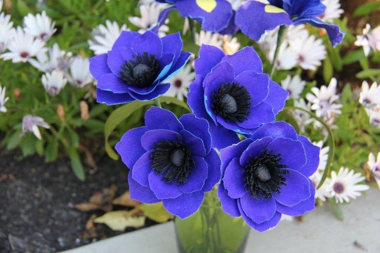 Анемоны - фото