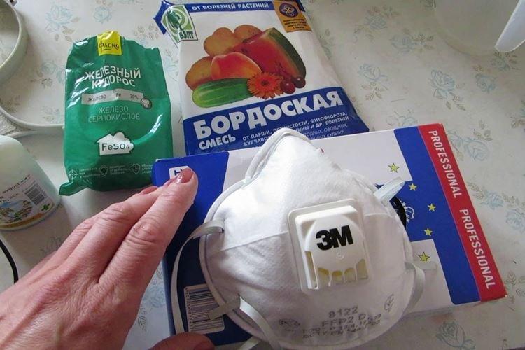 Меры предосторожности - Бордосская жидкость применение в садоводстве весной