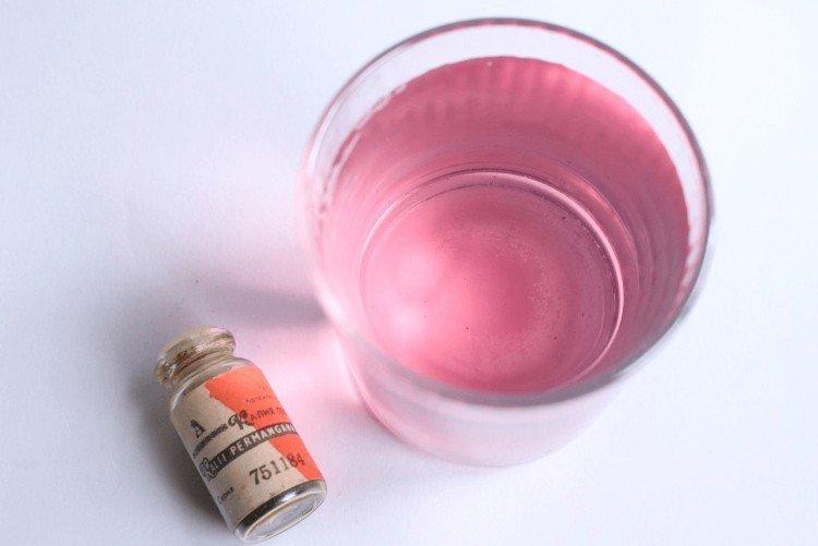 Подкормка рассады петунии марганцовкой