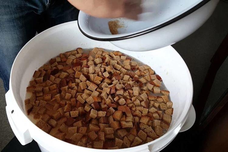 Хлебные корки - Чем подкормить смородину весной