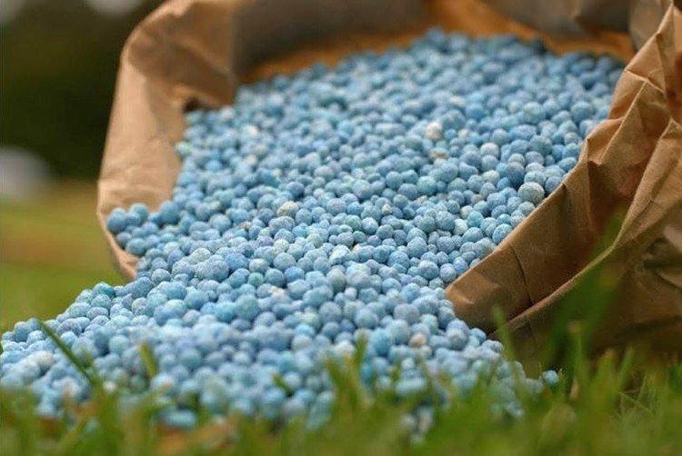 Минеральные удобрения - Чем подкормить яблоню весной