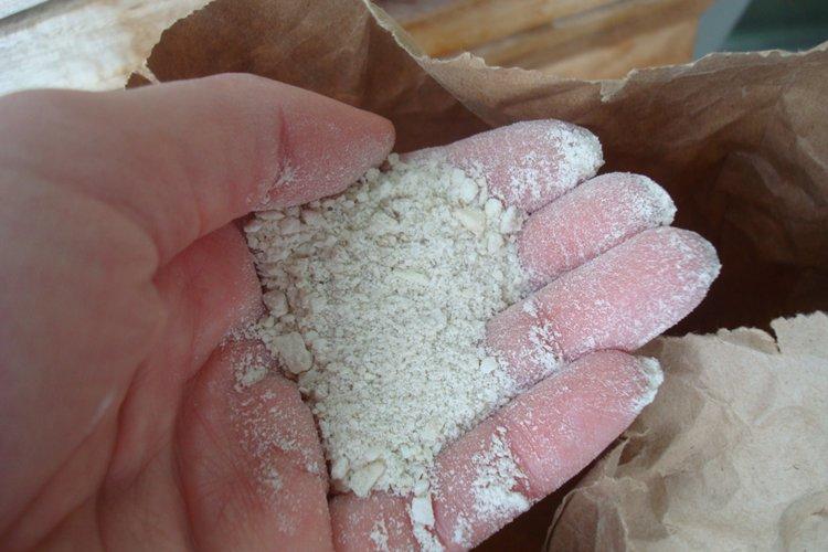 Костная мука - Чем подкормить яблоню весной