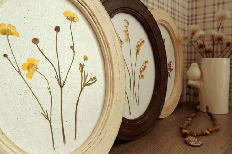Гербарий в интерьере - Декор комнаты своими руками