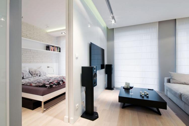 Гостиная, совмещенная со спальней - дизайн интерьера фото