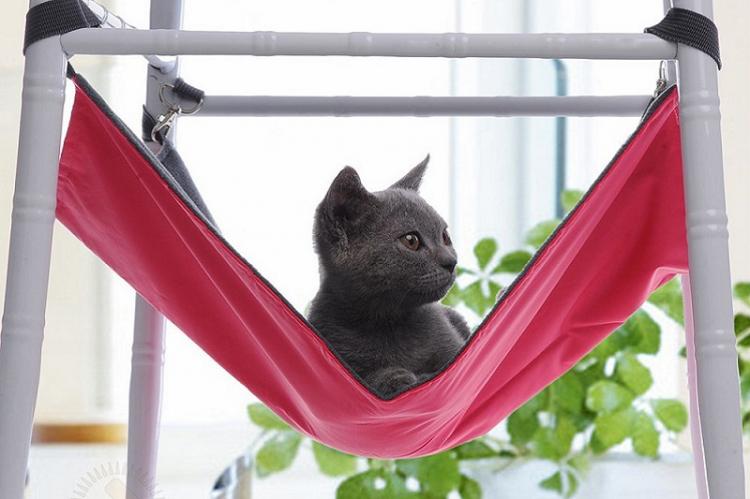 Шьем гамак - Домик для кошки своими руками