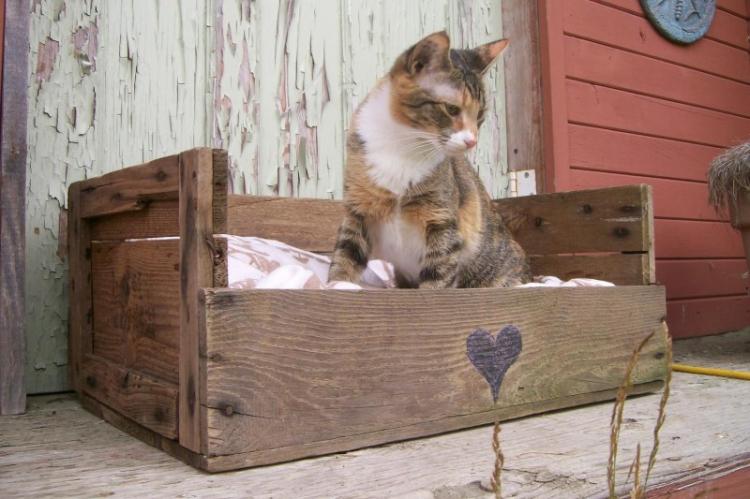 Домик для кошки своими руками - фото и идеи