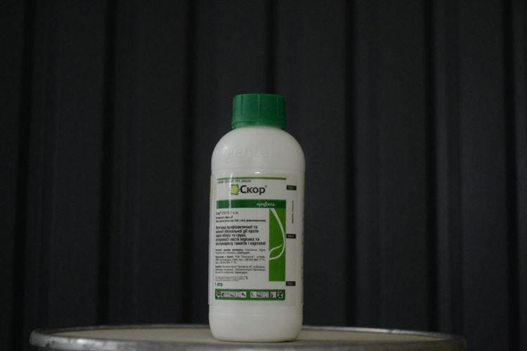 Скор - Чем обработать помидоры от фитофторы