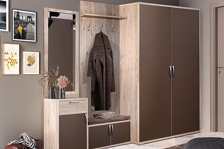 Дизайн коричневой прихожей