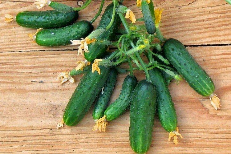 Козырная карта