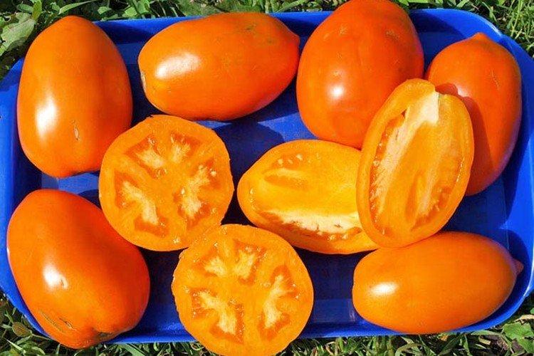 Кенигсберг золотой