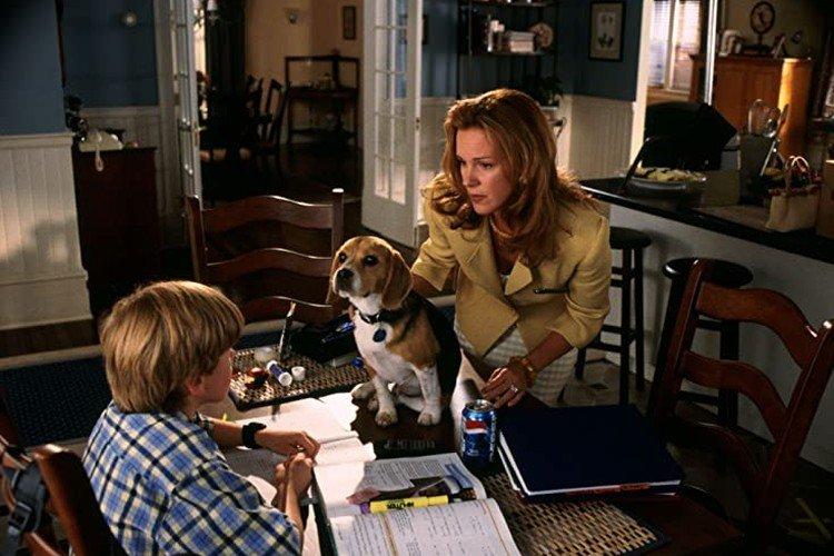 Кошки против собак (2001)