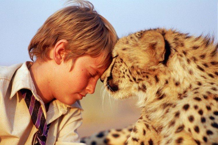 Мысли о свободе (2005)