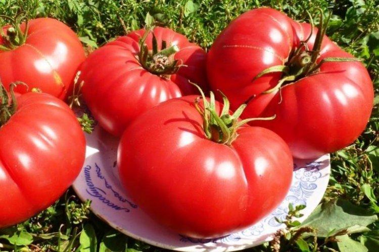 Бычье сердце