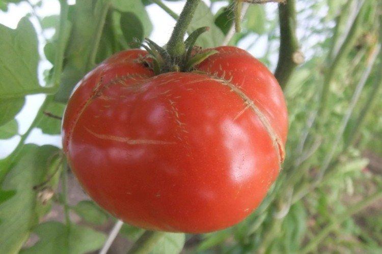 Академик Сахаров