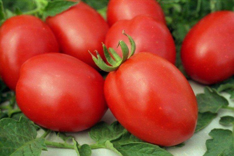 Барнаульский консервный