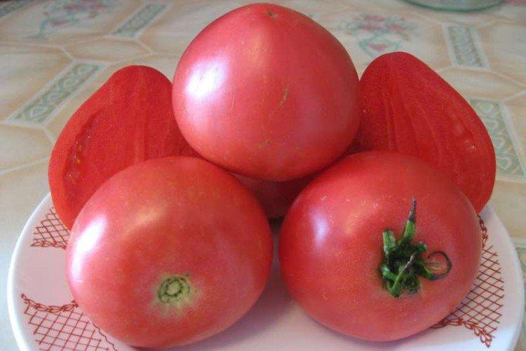 Обские купола