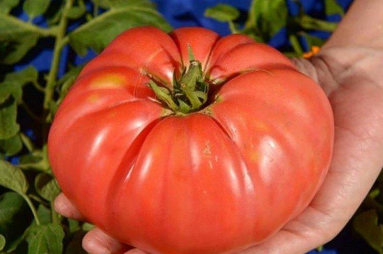 Бабушкин секрет