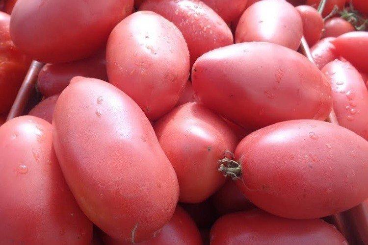 Петруша огородник