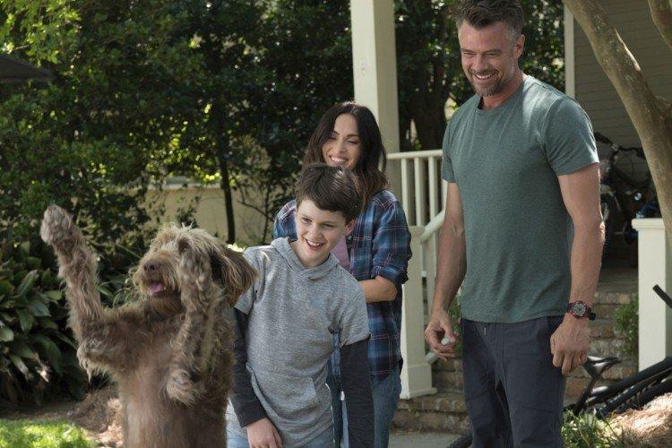 Думай как собака (2020)