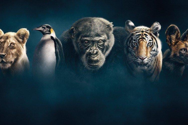 20 лучших документальных фильмов последних лет