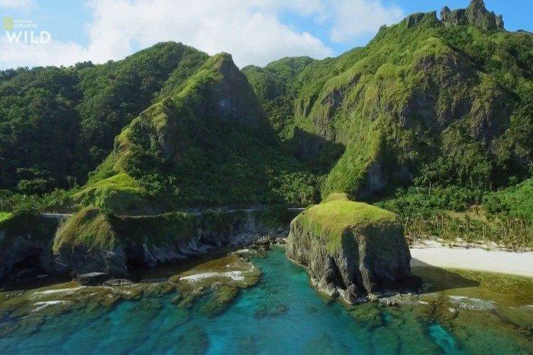 Дикие Филиппины Скрытые чудеса (2019)