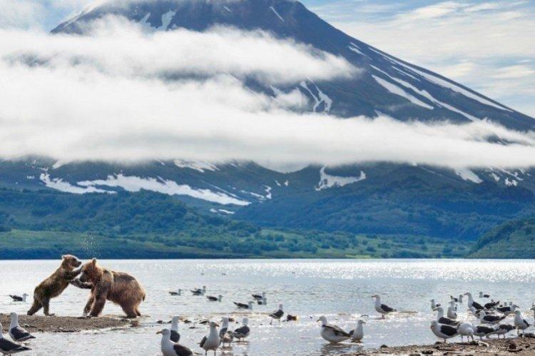 Идеальная планета (2021)