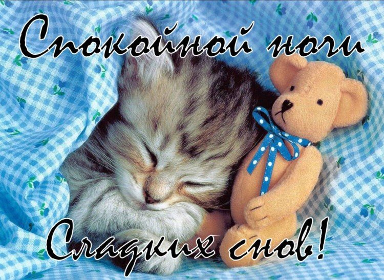 Картинки «Спокойной ночи» девушке