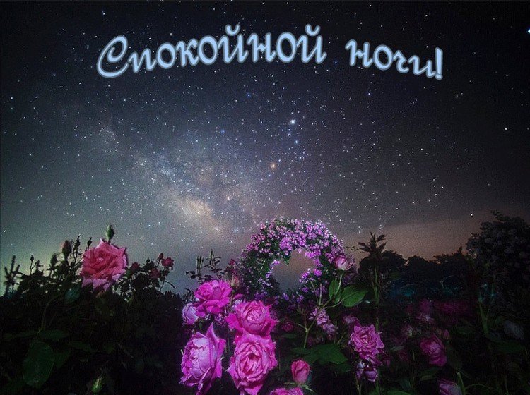 Картинки «Спокойной ночи» девушке