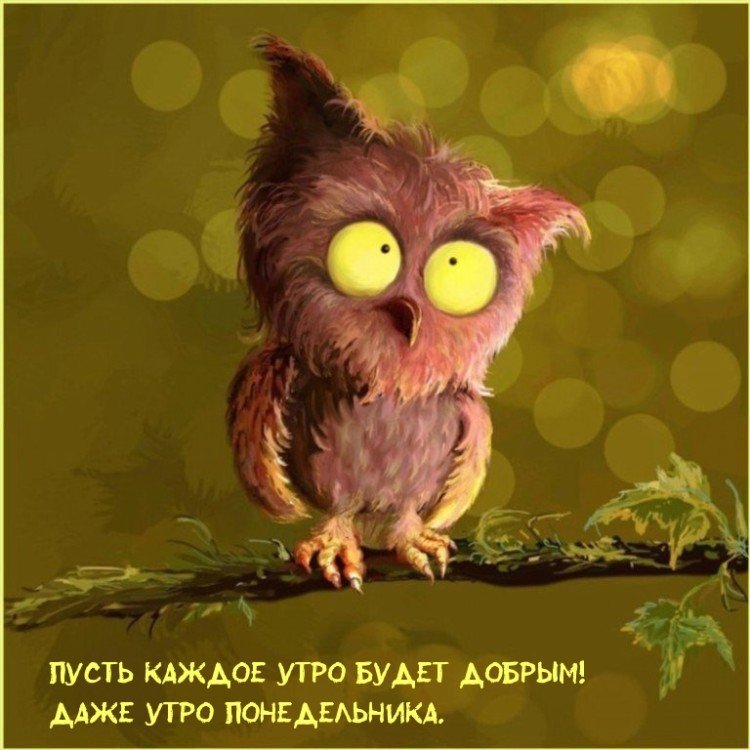 Самые прикольные картинки «Доброе утро»