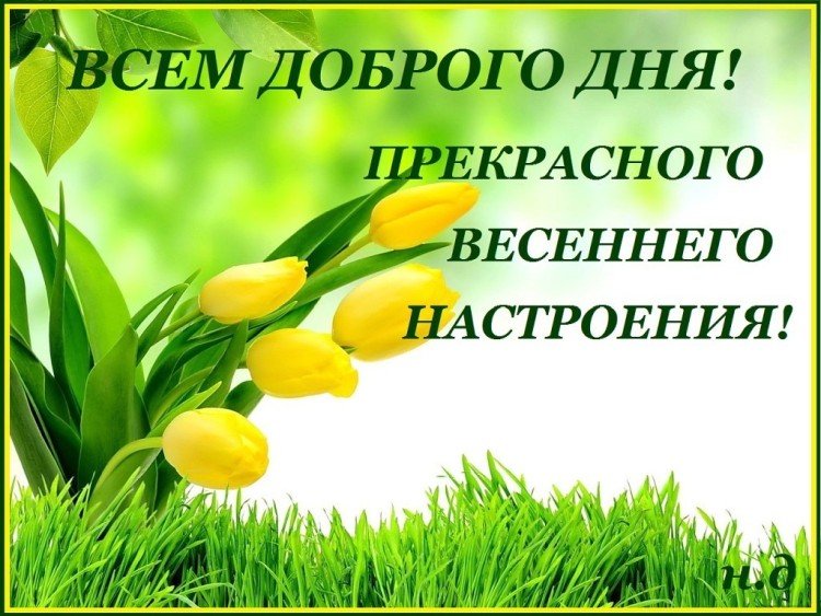 Весенние картинки «С добрым утром»