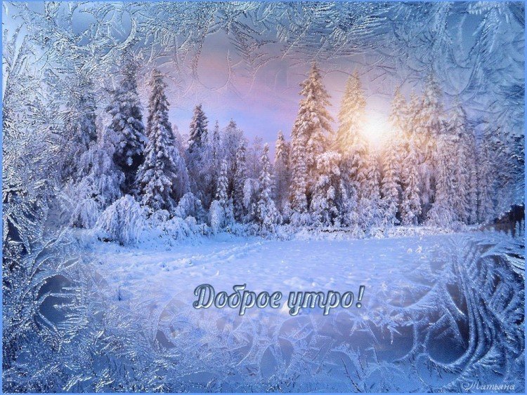 Зимние картинки «С добрым утром»