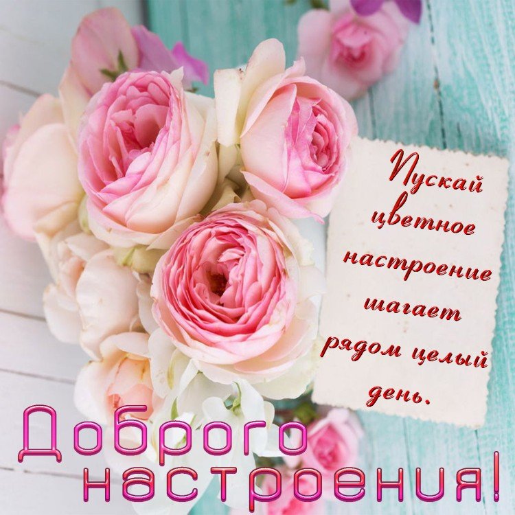 Картинки «С добрым утром» девушке