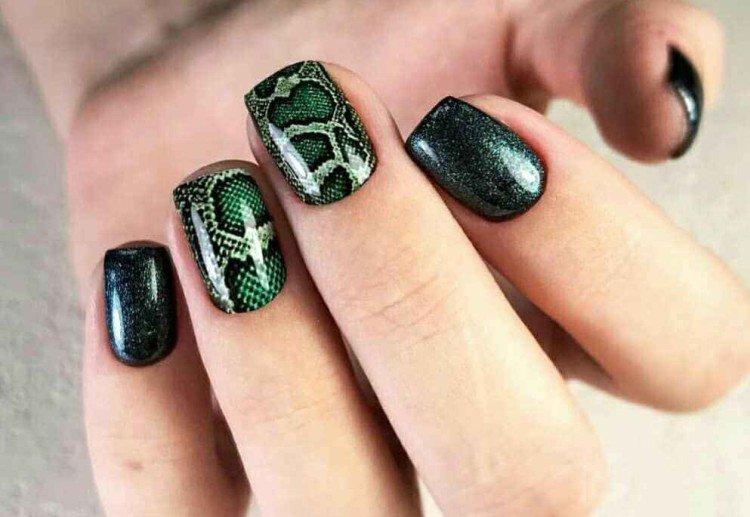 Змеиная кожа