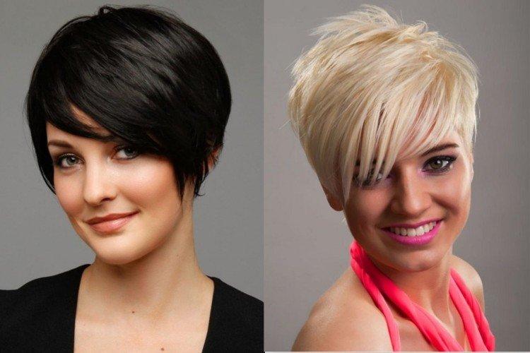 Пикси-боб с косой челкой