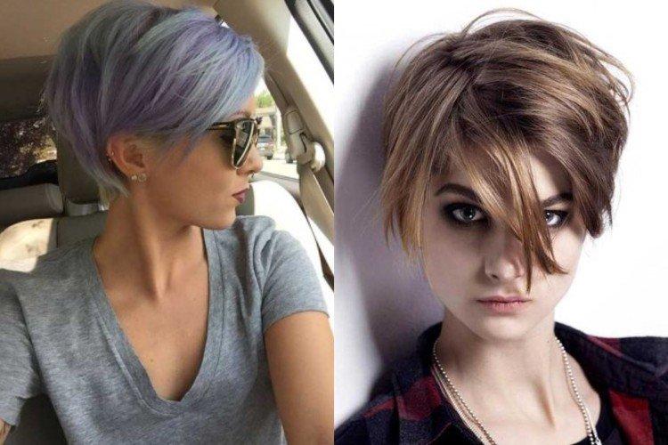 Пикси-боб с нависающей челкой