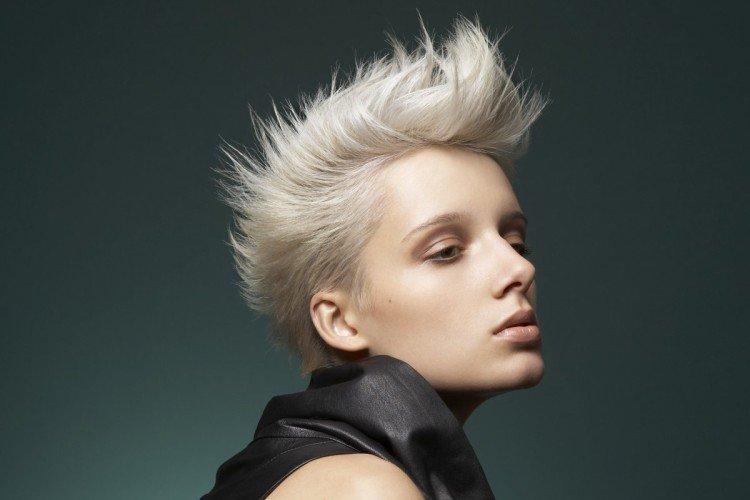 Томбой-ирокез