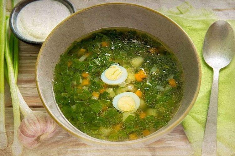 Зеленый борщ с ревенем и щавелем