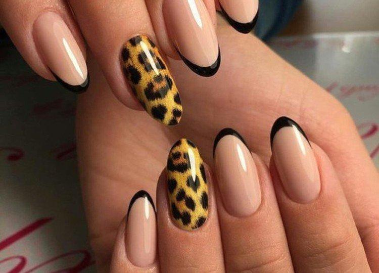 Животные принты