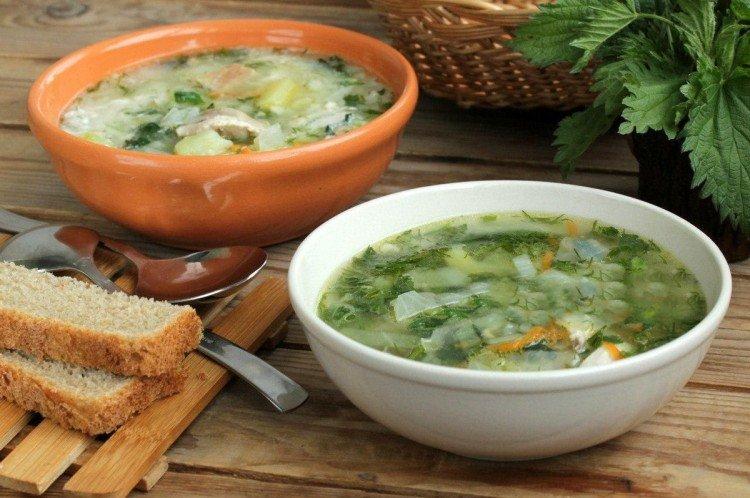 Суп с курицей и крапивой