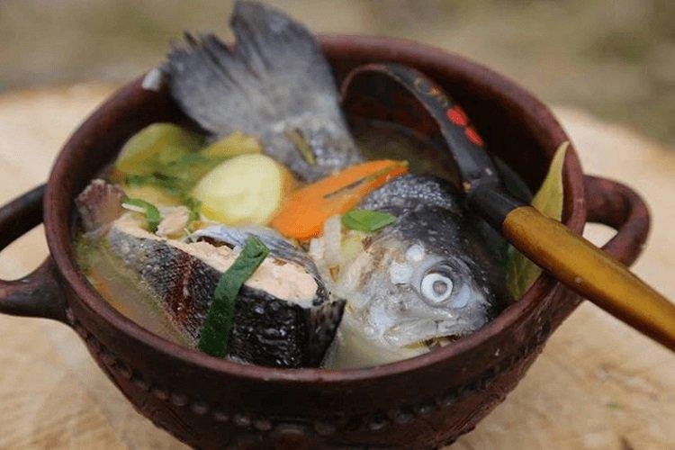 Уха из головы, хвоста и хребта форели