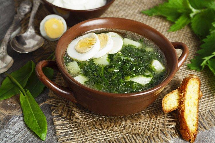 15 вкусных и сытных зеленых борщей