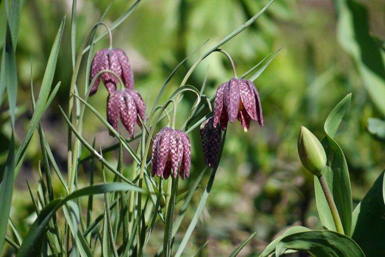 Температура