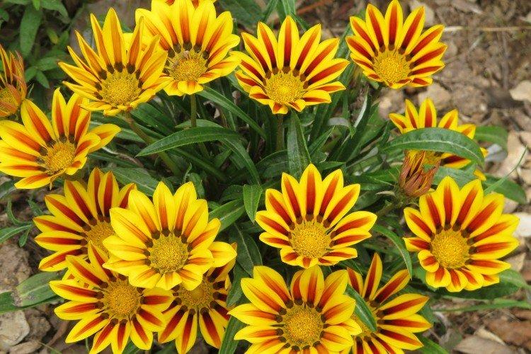 Общая информация