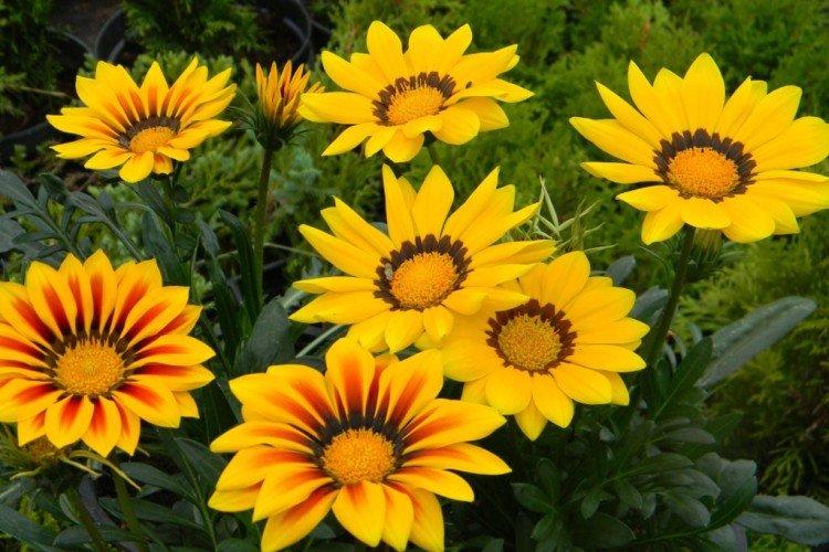 Гацания – фото