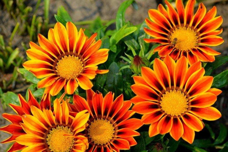 Гацания – фото