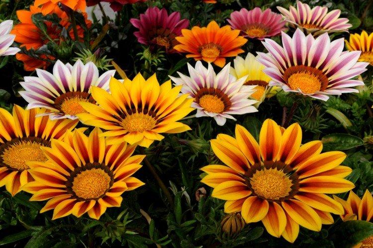 Гацания – фото