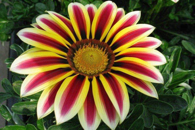 Гацания – фото