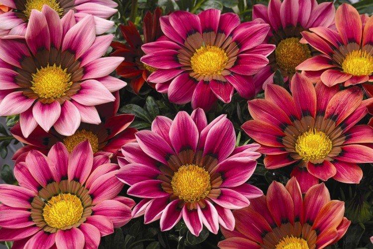 Гацания – фото