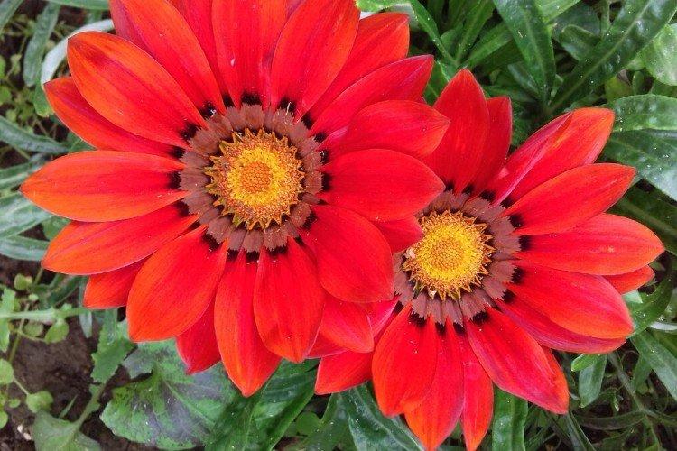 Гацания – фото