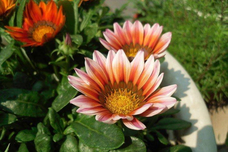 Гацания – фото